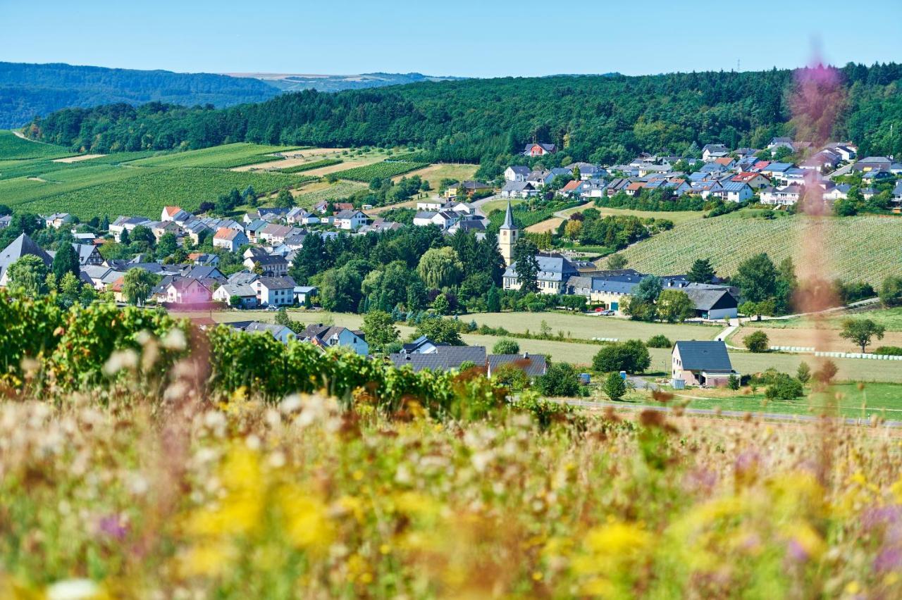 Ferienweingut Willems Oberemmel Exterior photo